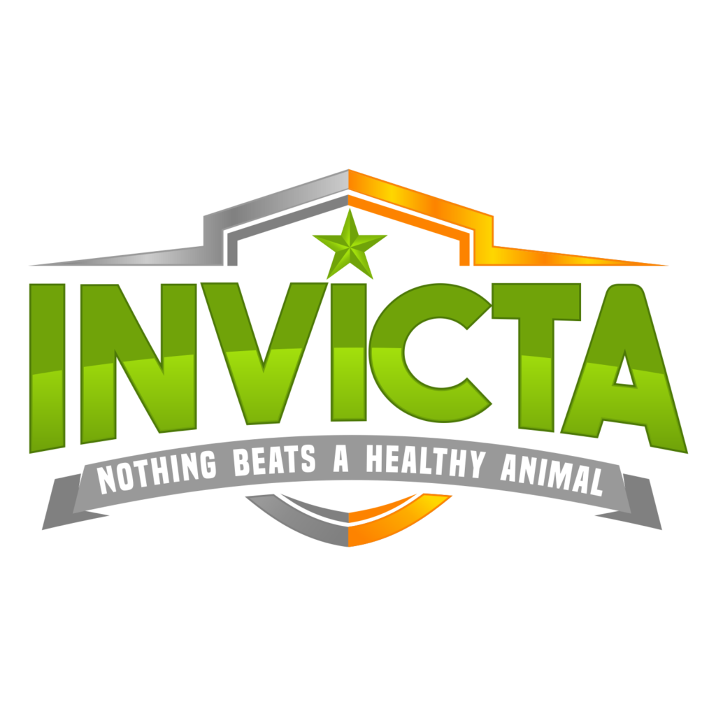 INVICTA PNG